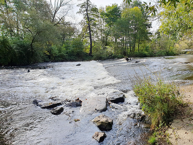Bode bei Weddersleben, Gernrode